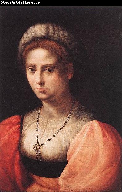 Domenico Puligo Portrait of a Lady